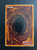 Yugioh Escalation of the Monarchs SR01-EN036 Common 1st Edition HP