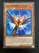 Yugioh Salamangreat Parro SAST-EN004 Common1st Edition NM