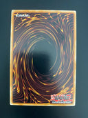 Yugioh Amazoness Queen DREV-EN032 Unlimited Edition NM