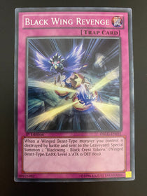 Yugioh Black Wing Revenge DRLG-EN031 Super Rare 1st Edition LP