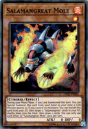 Yugioh Salamangreat Mole OP10-EN006 Super Rare Unlimited Edition NM
