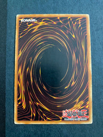 Yugioh Bubble Shuffle DP1-EN019 Common Unlimited Edition HP