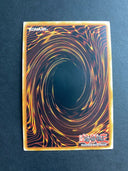 Yugioh Naturia Ragweed HAC1-EN114 Duel Terminal Rare 1st Edition VLP/NM