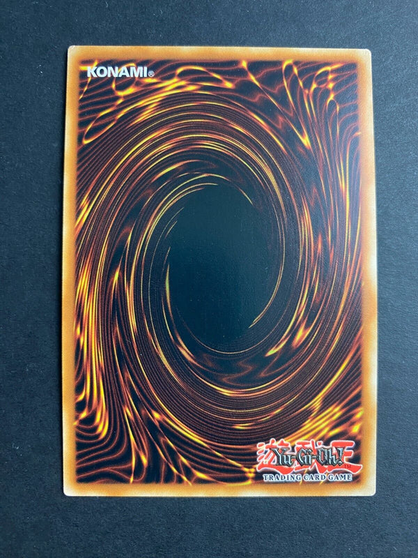Yugioh Mistaken Accusation MAGO-EN081 Gold Rare 1st Edition NM