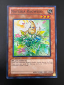 Yugioh Naturia Ragweed HA04-EN050 Super Rare 1st Edition MP