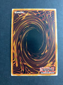 Yugioh Paleozoic Dinomischus INOV-EN096 Common 1st Edition NM