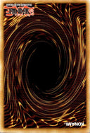 Yugioh Fateful Adventure RA05-EN119 NA Print Ultra Rare 1st Edition NM