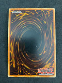 Yugioh Advance Draw DP09-EN021 1st Edition Common LP