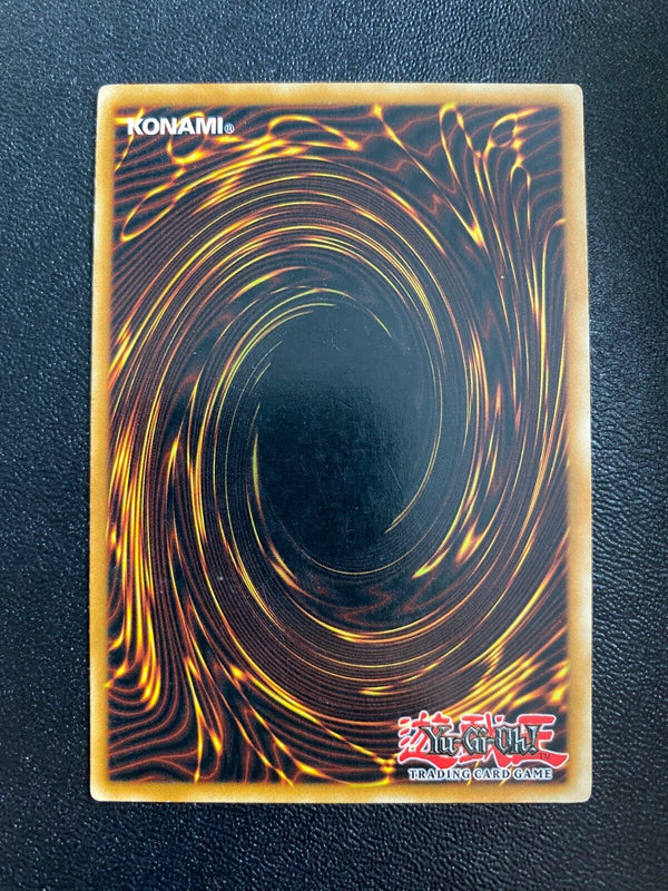 Yugioh Dragunity Brandistock SDDL-EN010 Common 1st Edition MP