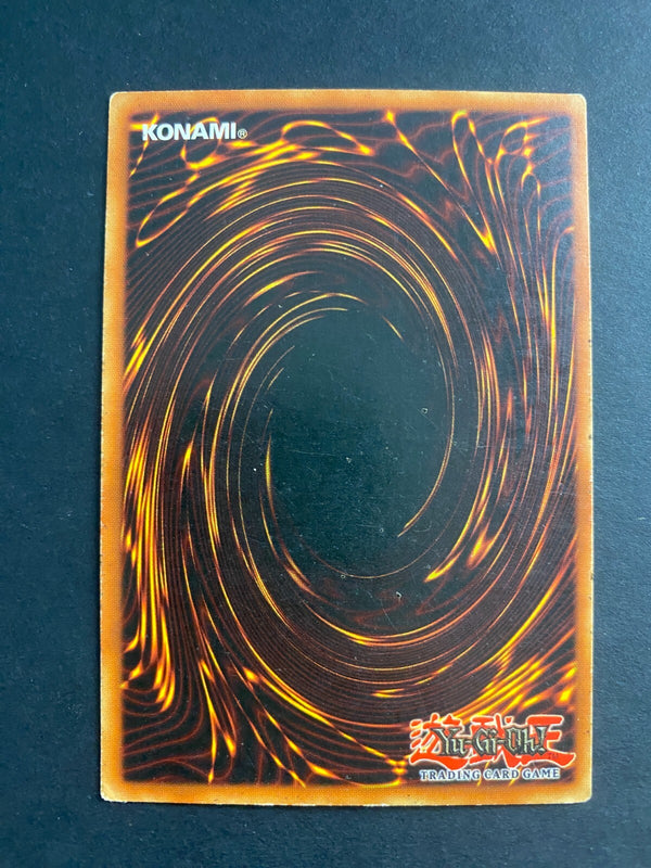 Yugioh Swords of Revealing Light SYE-039 Common Unlimited Edition HP