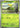 Pokemon Erika's Bellsprout 004/217 Ascended Heroes Non Holo NM