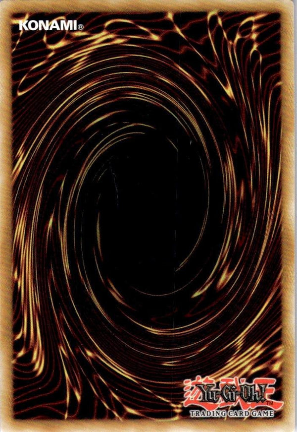 Yugioh Dragon Revival Rhapsody LC06-EN004 Ultra Rare 1st Edition NM