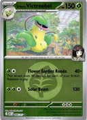 Pokemon Erika's Victreebel 006/217 Ascended Heroes Energy Reverse Holo NM