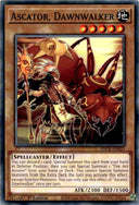 Yugioh Ascator, Dawnwalker SDCK-EN021 Common 1st Edition NM