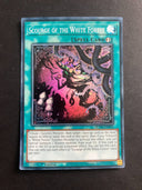 Yugioh Scourge of the White Forest ROTA-EN056 Super Rare 1st Edition NM