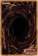 Yugioh Blackwing - Twin Shadow DABL-EN071 Common 1st Edition NM