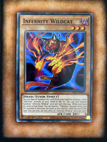 Yugioh Infernity Wildcat PHRA-EN017 Common 1st Edition NM/MINT