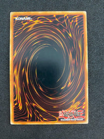 Yugioh Brotherhood Of The Fire Fist - Spirit CBLZ-EN098 Unlimited NM