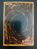 Yugioh Reborn Zombie EEN-EN009 Unlimited Edition Common VLP/NM