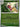 Pokemon Ariados 002/088 Perfect Order Reverse Holo NM