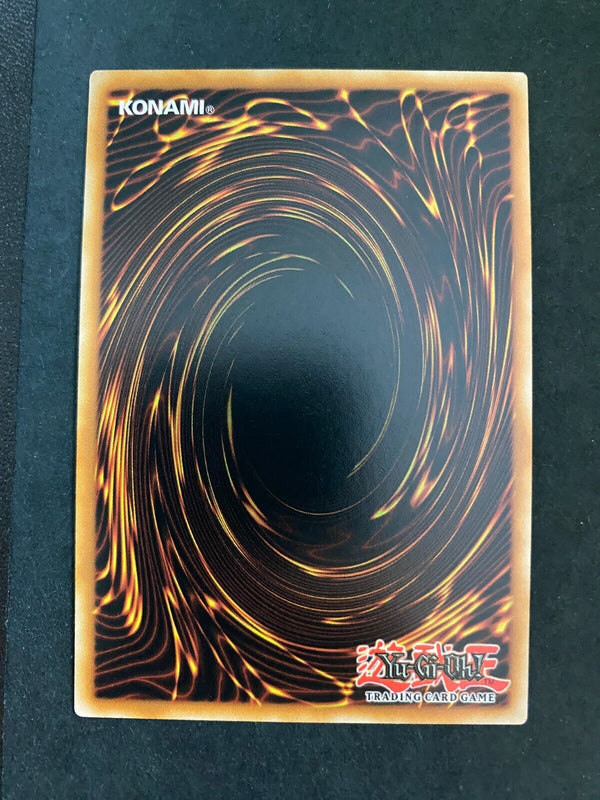 Yugioh Vice Dragon SDCK-EN009 Common 1st Edition NM