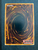 Yugioh Elegant Egotist DPBC-EN039 Common 1st Edition LP