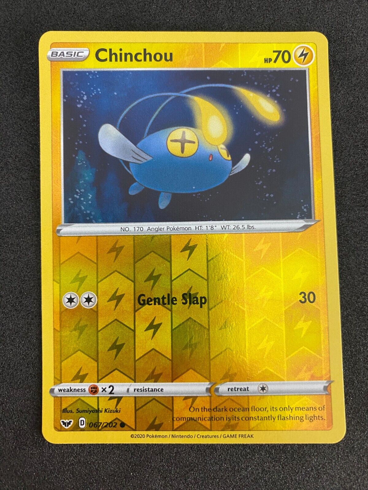 Pokemon Chinchou 067/202 Sword Shield Reverse Holo NM-MINT 67/202