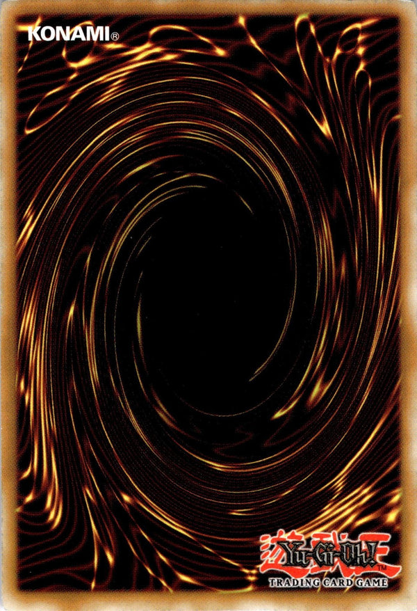 Yugioh Legendary Black Belt TLM-EN045 Rare 1st Edition NM