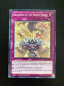 Yugioh Awakening of the Sacred Beasts SDSA-EN035 Common 1st Edition VLP/NM