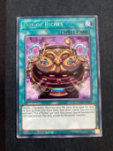 Yugioh Pot of Riches ANGU-EN055 Rare 1st Edition LP