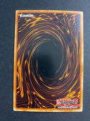 Yugioh NEX TAEV-EN049 Common 1st Edition LP