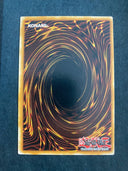 Yugioh Molten Destruction RP01-EN079 Common Retro Pack Reprint NM