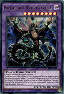 Yugioh Predaplant Dragostapelia DUPO-EN069 Ultra Rare 1st Edition LP