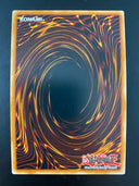 Yugioh Dig of Destiny MVP1-EN022 1st Edition NM