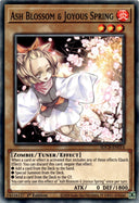 Yugioh Ash Blossom & Joyous Spring SDCB-EN014 Common 1st Edition NM