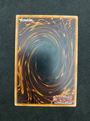 Yugioh Evil Hero Dark Gaia DP06-EN010 1st Edition Common MP