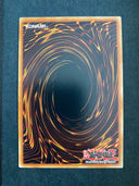 Yugioh Dragonic Diagram BLC1-EN125 Common 1st Edition NM