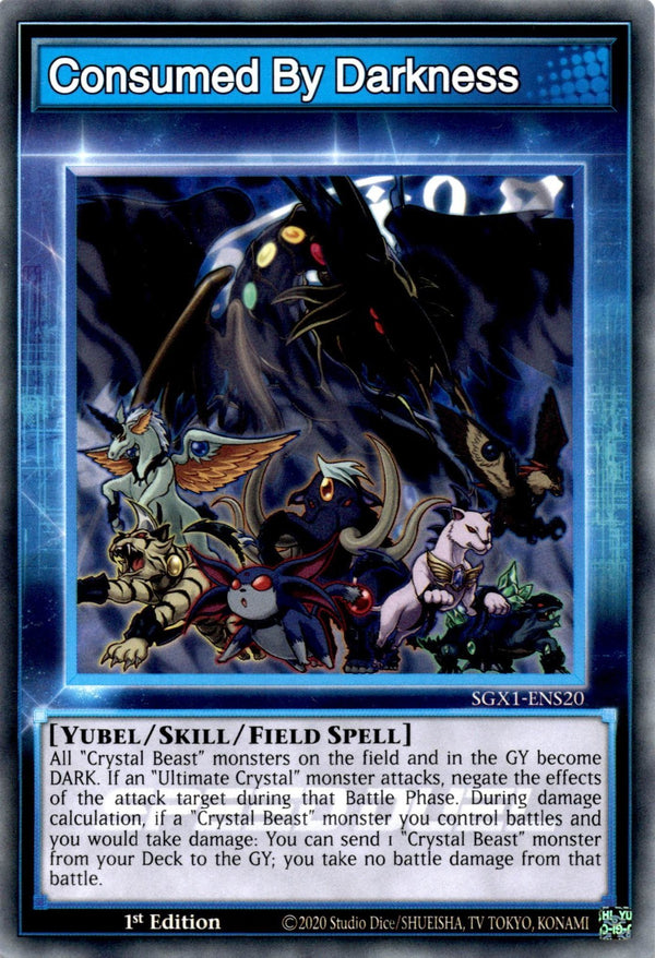 Yugioh Consumed By Darkness SGX1-ENS20 Speed Duel Common 1st Edition NM