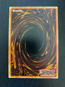 Yugioh Odd-Eyes Vortex Dragon DOCS-EN045 Secret Rare 1st Edition LP