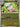 Pokemon Flaaffy 028/086 Chaos Rising Reverse Holo NM