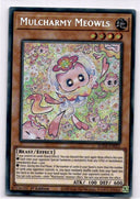Yugioh Mulcharmy Meowls SUDA-EN025 Secret Rare 1st Edition NM
