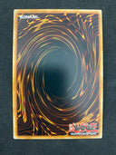 Yugioh Blackwing - Blizzard The Far North RGBT-EN010 Unlimited MINT