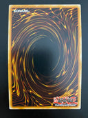 Yugioh Blizzard ROTD-EN063 1st Edition Super Rare NM/MINT