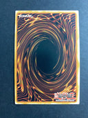Yugioh Tsumuha-Kutsunagi the Lord of Swords CYAC-EN024 Secret Rare 1st Ed NM