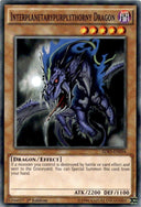 Yugioh Interplanetarypurplythorny Dragon SDKS-EN016 Common 1st Edition NM