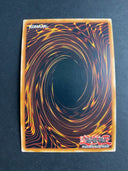 Yugioh Swallow's Nest HAC1-EN171 Duel Terminal Rare 1st Edition LP