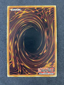 Yugioh Amazoness Sage YS14-ENA06 Common 1st Edition VLP