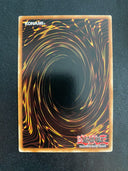 Yugioh Murmur of the Forest PHSW-EN058 Rare 1st Edition VLP/NM