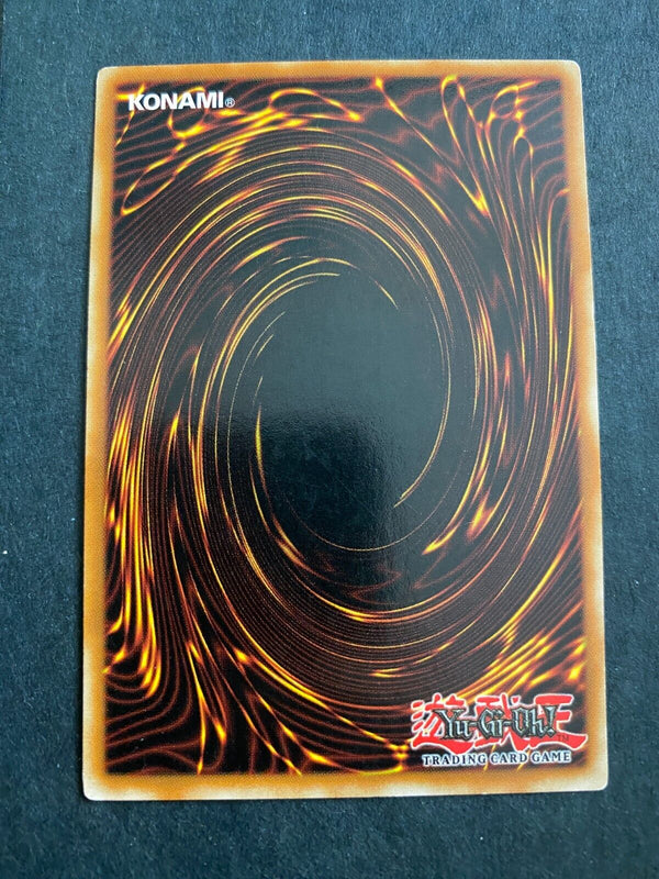 Yugioh Future Fusion DP04-EN023 Common Unlimited Edition LP