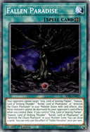 Yugioh Fallen Paradise SDSA-EN021 Common 1st Edition VLP/NM